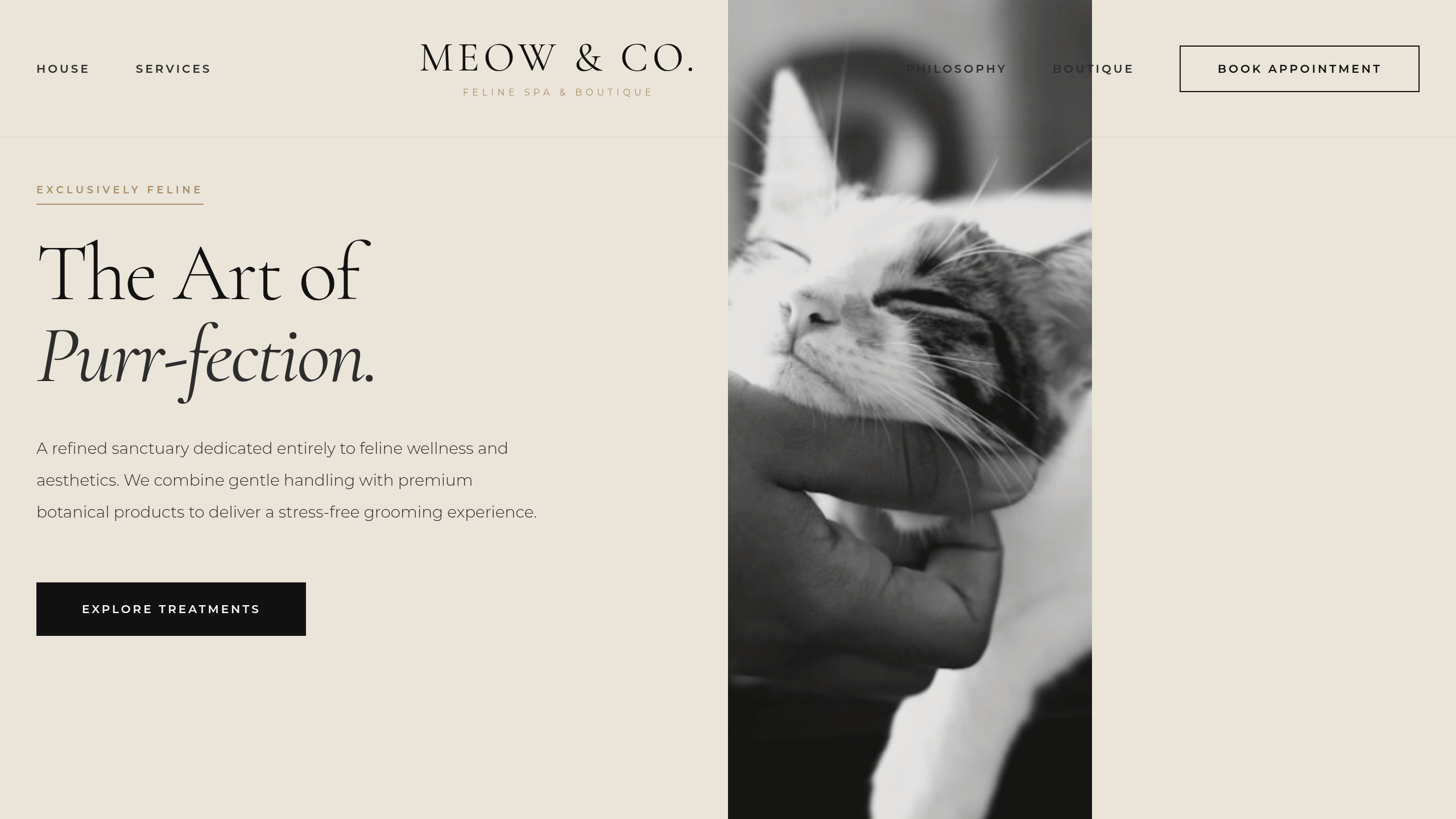 Meow & Co Grooming